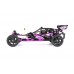 Baha 10B 2WD BRUSHLESS Buggy - PURPLE │ FREE SHIPPING Baha 10B 2WD BRUSHLESS Buggy - PURPLE │ FREE SHIPPING